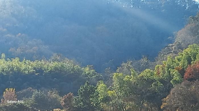 경상남도 거제시 장목면 유호리 285 전 경매 사진 7