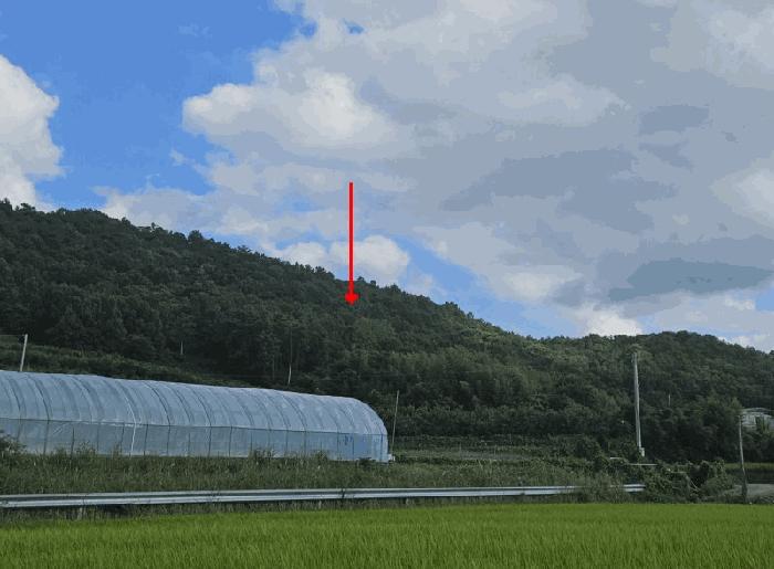 전라남도 영암군 영암읍 학송리 산6 임야 경매 사진 2