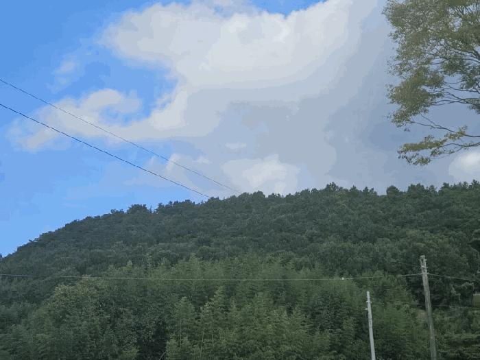 전라남도 영암군 영암읍 학송리 산6 임야 경매 사진 3
