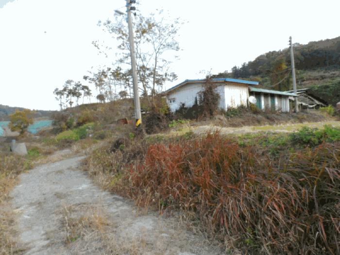 전라남도 함평군 전