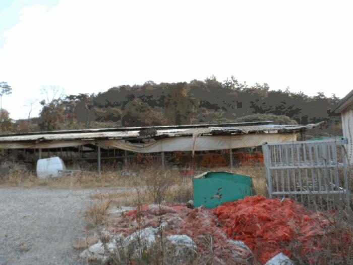 전라남도 함평군 학교면 복천리 543 전 경매 사진 2