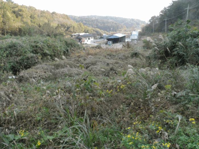전라남도 함평군 학교면 복천리 543 전 경매 사진 8