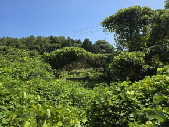 전라남도 장흥군 회진면 대리 259-1 축사(농가시설) 경매 사진 19