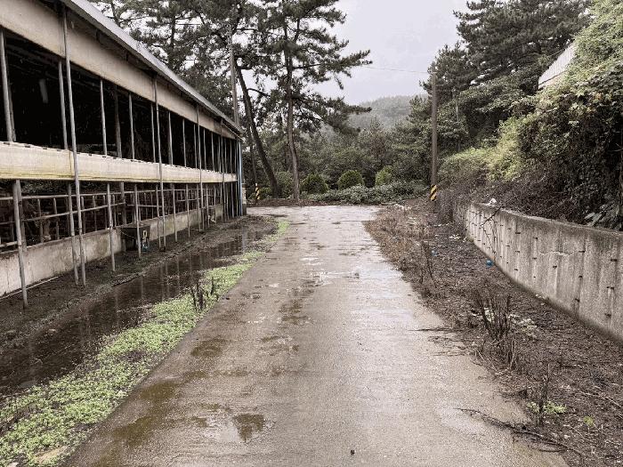 전라남도 장흥군 관산읍 외동리 산88-5 임야 경매 사진 10