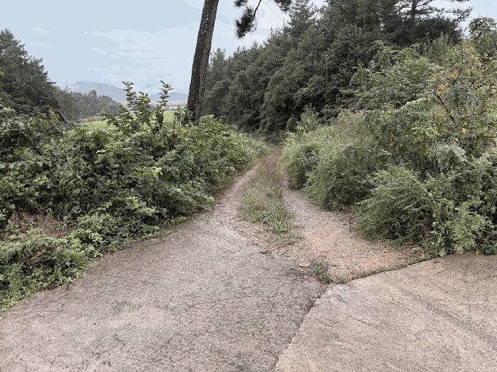 전라남도 장흥군 관산읍 외동리 산88-5 임야 경매 사진 6