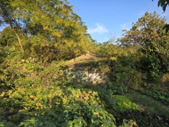 전라남도 장흥군 장흥읍 금산리 536-1 주택 경매 사진 7