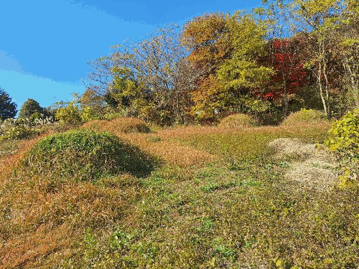 전라남도 강진군 칠량면 영동리 624 전 경매 사진 12