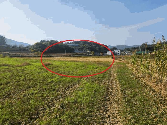 전라남도 무안군 삼향읍 용포리 275 답 경매 사진 2