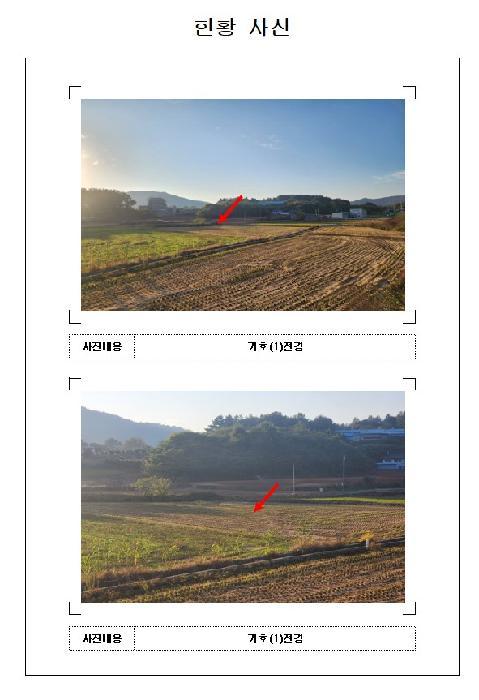 전라남도 무안군 삼향읍 용포리 275 답 경매 사진 3