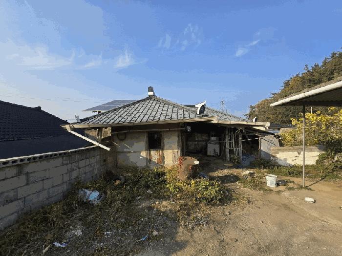 전라남도 함평군 대동면 운교리 903 대지 경매 사진 3