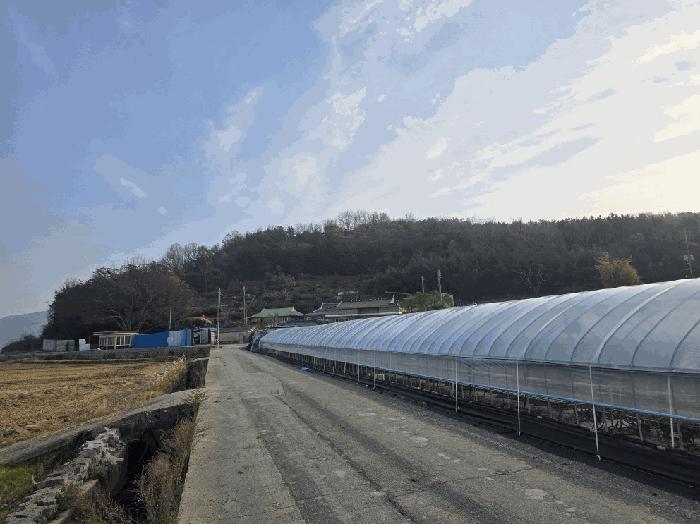 전라남도 함평군 대동면 운교리 산88 임야 경매 사진 7