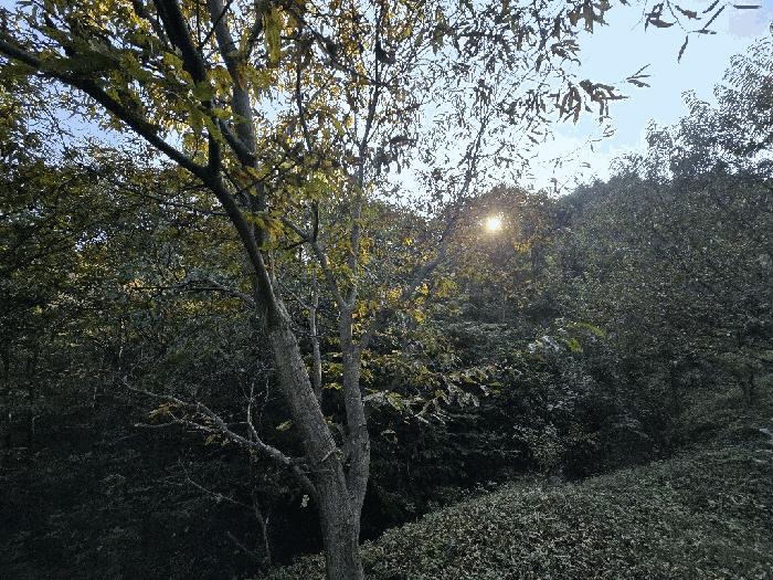 경상남도 하동군 횡천면 전대리 747 답 경매 사진 1