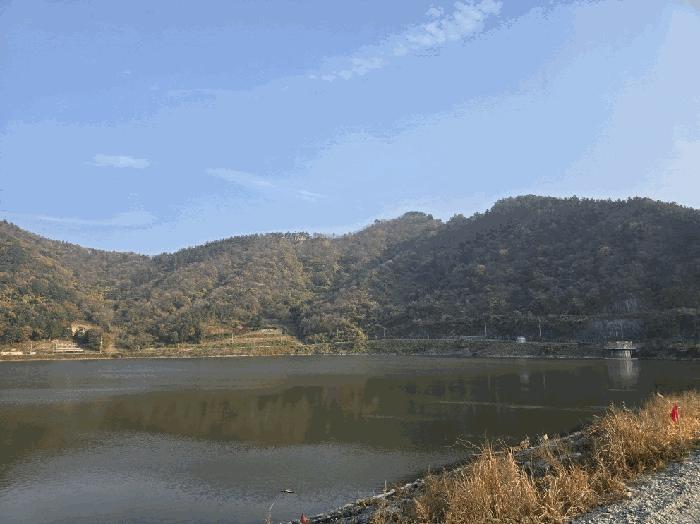 전라남도 함평군 대동면 금산리 산94 임야 경매 사진 5