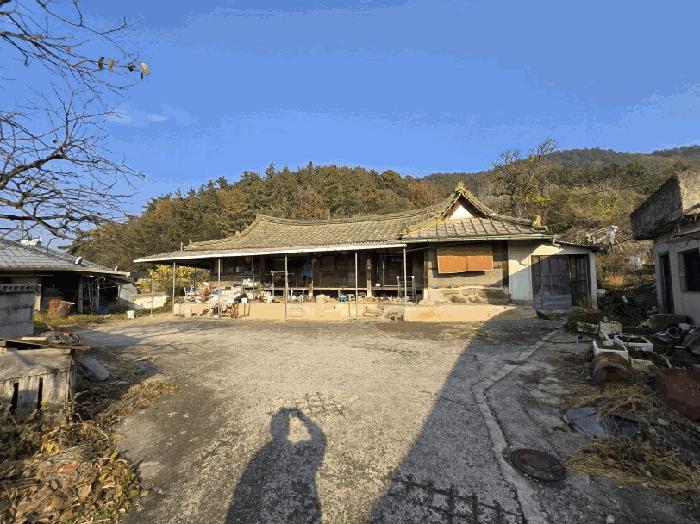 전라남도 함평군 대동면 금산리 산94 임야 경매 사진 8