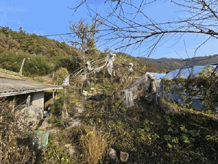 전라남도 함평군 대동면 금산리 산94 임야 경매 사진 9