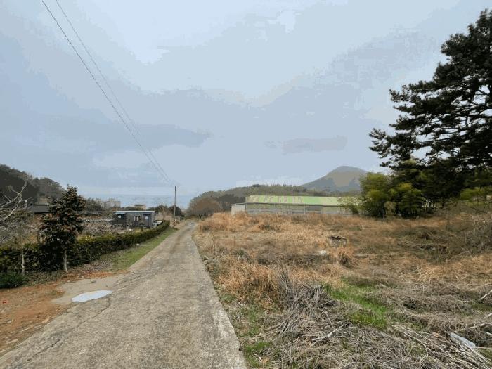 경상남도 거제시 하청면 석포리 75-4 운동시설 경매 사진 9