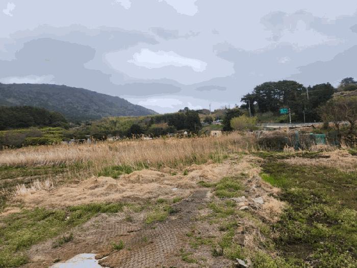 경상남도 거제시 남부면 다대리 378 답 경매 사진 4