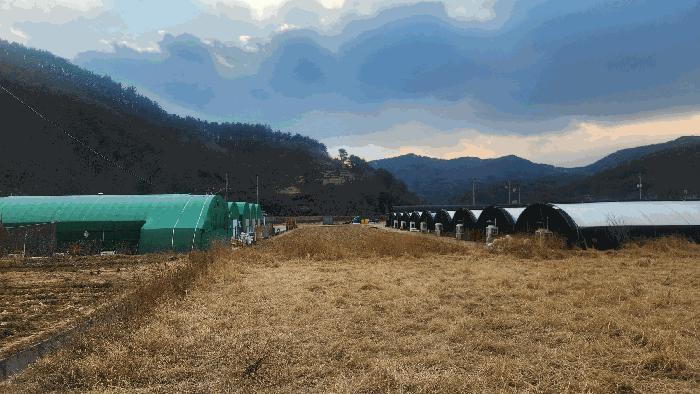 경상남도 진주시 집현면 대암리 587-13 답 경매 사진 3