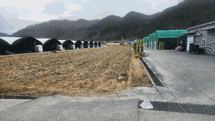 경상남도 진주시 집현면 대암리 587-13 답 경매 사진 4