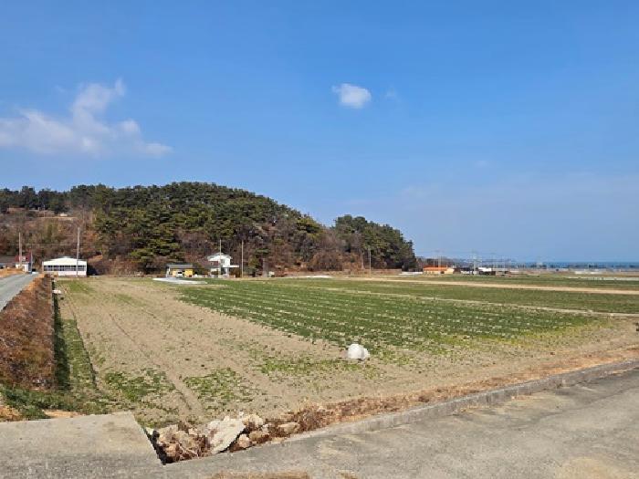 경상남도 남해군 고현면 대곡리 56-1 답 경매 사진 8