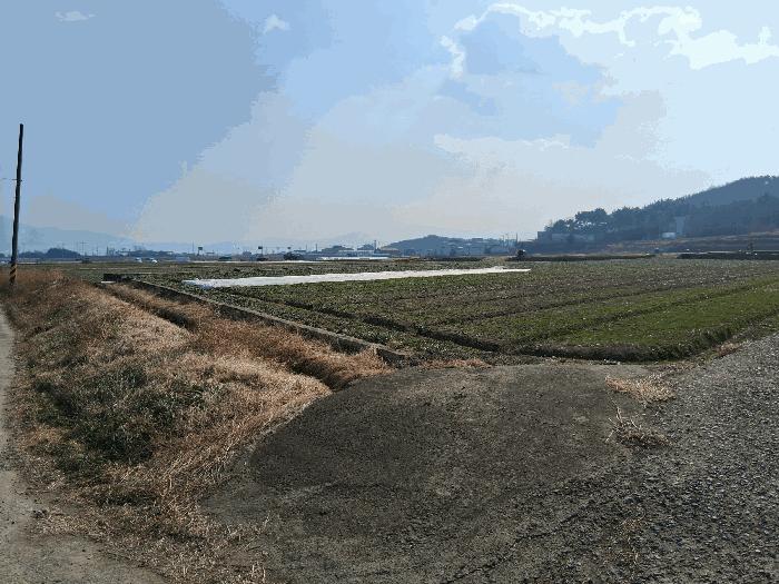 경상남도 남해군 고현면 대곡리 523 답 경매 사진 2