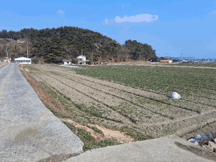 경상남도 남해군 고현면 대곡리 523 답 경매 사진 5