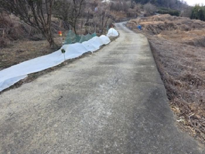 경상남도 남해군 남해읍 입현리 1027 답 경매 사진 17