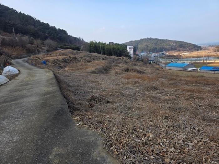 경상남도 남해군 남해읍 입현리 1155-1 전 경매 사진 16