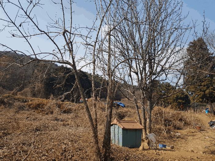경상남도 남해군 남해읍 입현리 1155-1 전 경매 사진 7