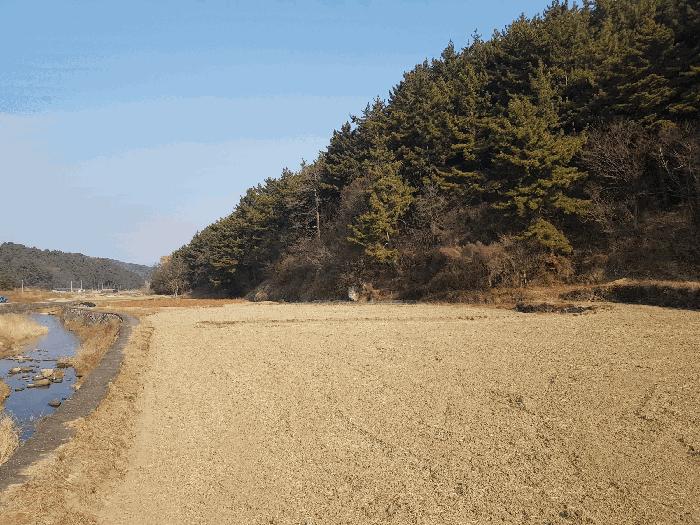 경상남도 남해군 남해읍 입현리 1155-1 전 경매 사진 8