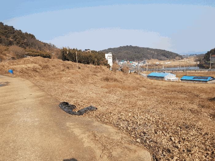 경상남도 남해군 남해읍 입현리 1155-1 전 경매 사진 9