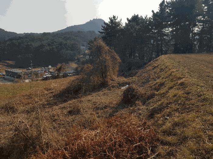 경상남도 남해군 남해읍 입현리 1235 전 경매 사진 13