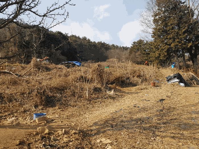 경상남도 남해군 남해읍 입현리 1235 전 경매 사진 14
