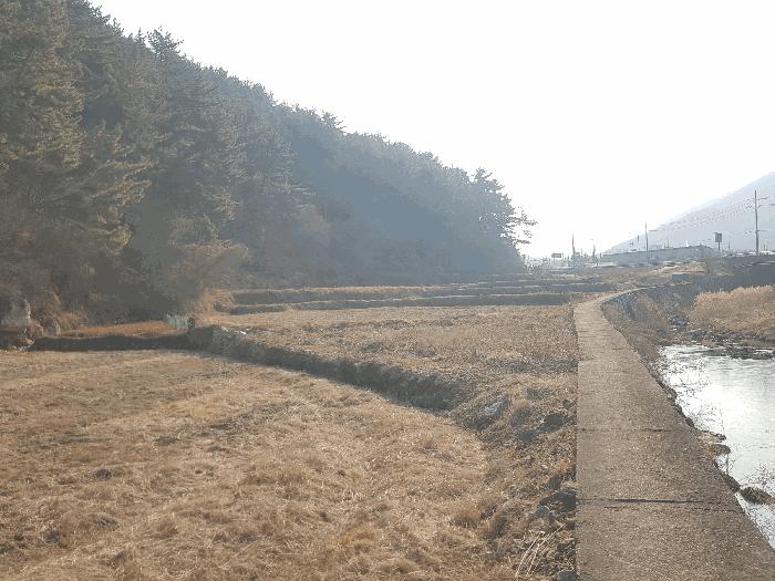 경상남도 남해군 남해읍 입현리 1235 전 경매 사진 4