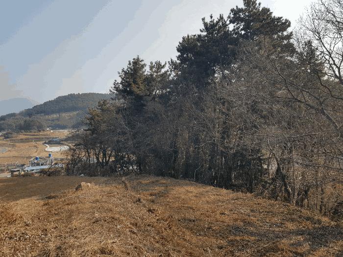 경상남도 남해군 남해읍 입현리 1245 묘지 경매 사진 10