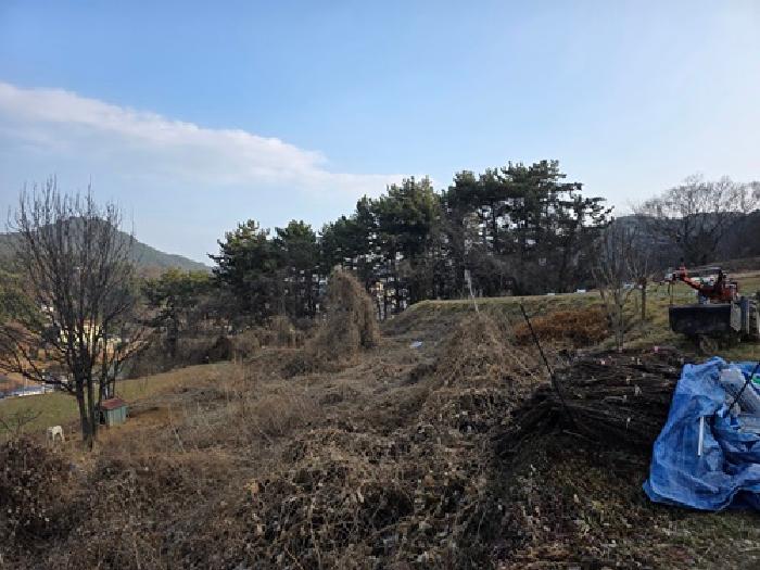 경상남도 남해군 남해읍 입현리 1245 묘지 경매 사진 19