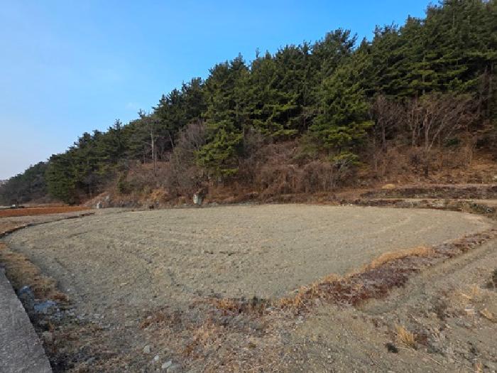 경상남도 남해군 남해읍 입현리 1245 묘지 경매 사진 20