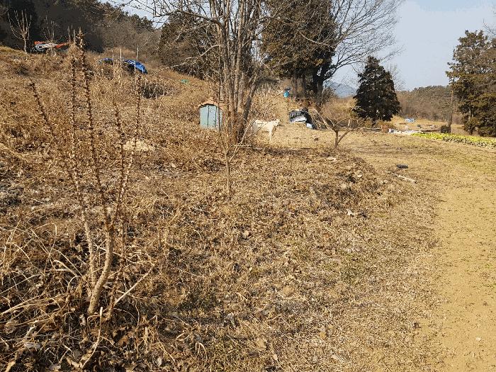 경상남도 남해군 이동면 다정리 1780 답 경매 사진 11