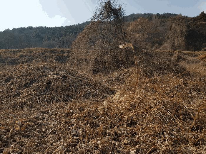 경상남도 남해군 이동면 다정리 1780 답 경매 사진 3