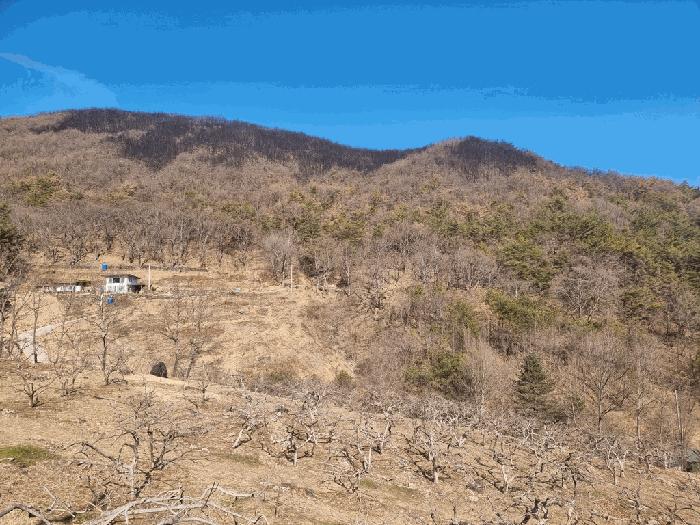 경상남도 하동군 옥종면 두양리 산10 임야 경매 사진 2