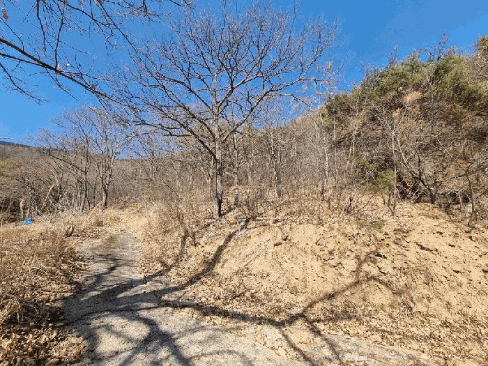 경상남도 하동군 옥종면 두양리 산10 임야 경매 사진 3