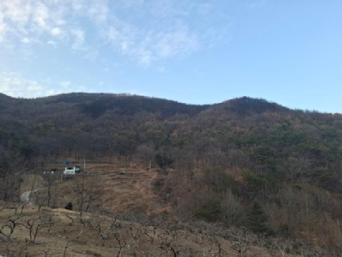 경상남도 하동군 옥종면 두양리 산10 임야 경매 사진 4