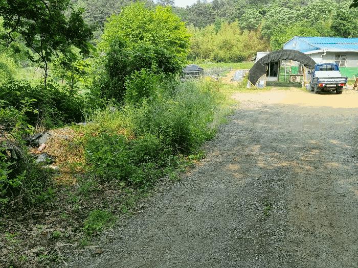 전북특별자치도 군산시 성산면 성덕리 343-6 전 경매 사진 2
