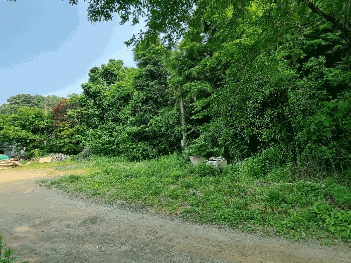 전북특별자치도 군산시 성산면 성덕리 343-6 전 경매 사진 4