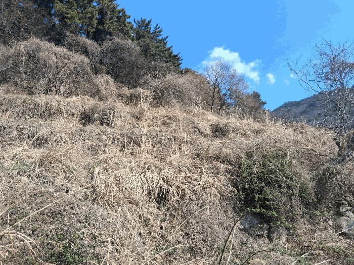 경상남도 남해군 이동면 신전리 1434 답 경매 사진 2