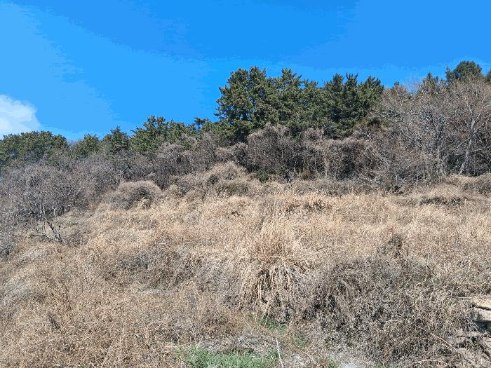 경상남도 남해군 이동면 신전리 1434 답 경매 사진 3
