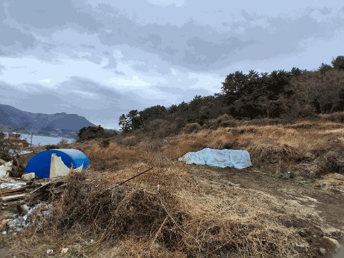 경상남도 남해군 이동면 신전리 1434 답 경매 사진 4
