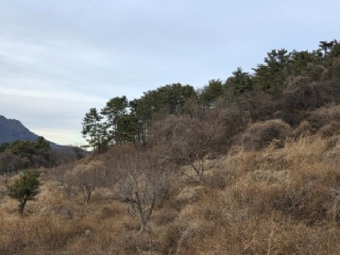 경상남도 남해군 이동면 신전리 1434 답 경매 사진 5
