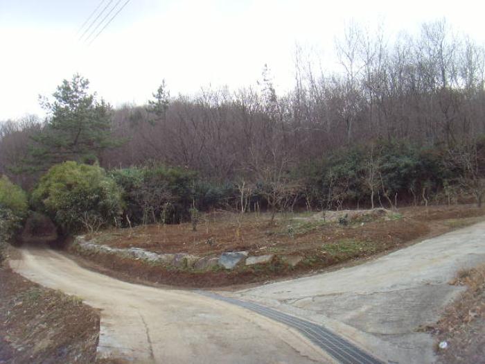 전라남도 진도군 고군면 석현리 451 대지 경매 사진 12
