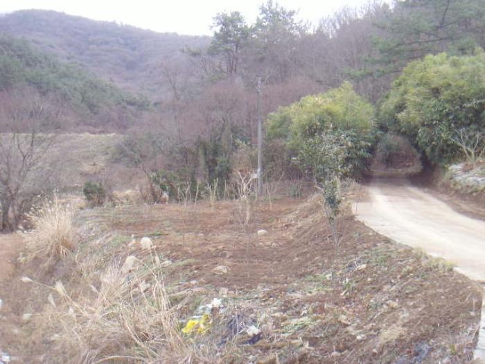 전라남도 진도군 고군면 석현리 451 대지 경매 사진 14